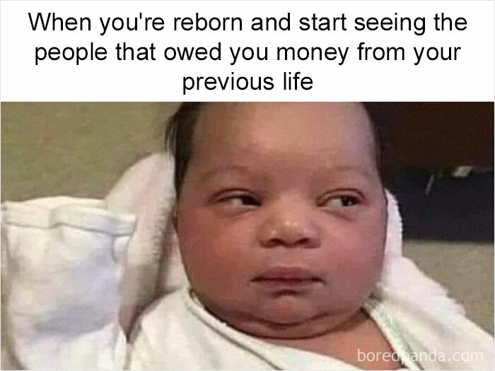 Self-Deprecating-Memes-Personally-Attacked