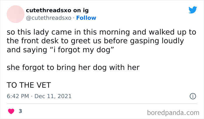 Funny-Animal-Memes-Awkwardanimals