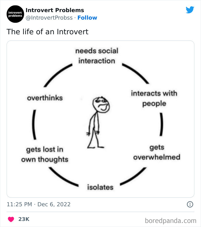 Funny-Introvert-Problems