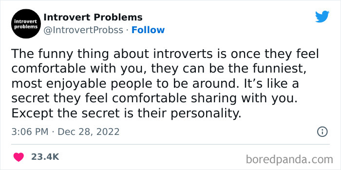 Funny-Introvert-Problems