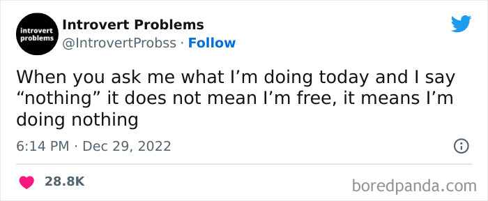 Funny-Introvert-Problems