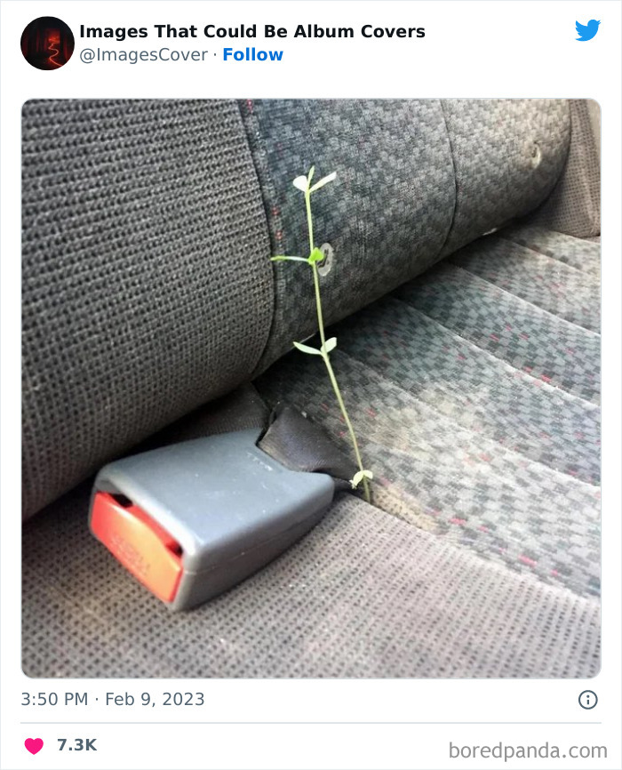 Cool-Pics-That-Could-Be-Album-Covers