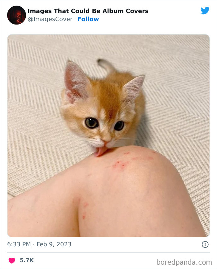 Cool-Pics-That-Could-Be-Album-Covers