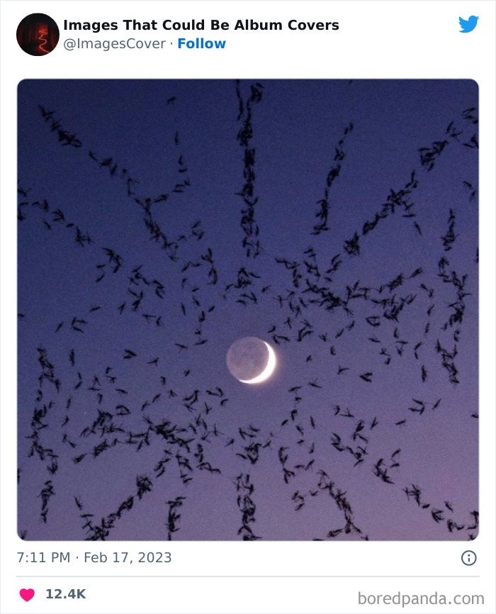 Cool-Pics-That-Could-Be-Album-Covers