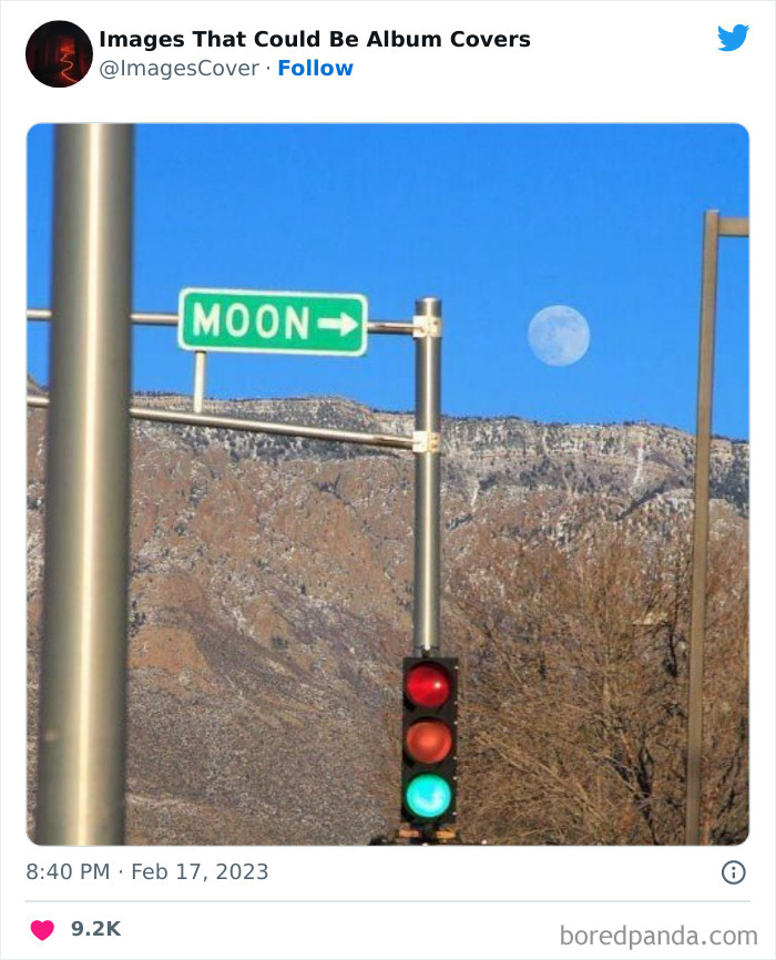 Cool-Pics-That-Could-Be-Album-Covers