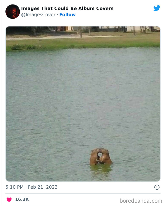 Cool-Pics-That-Could-Be-Album-Covers