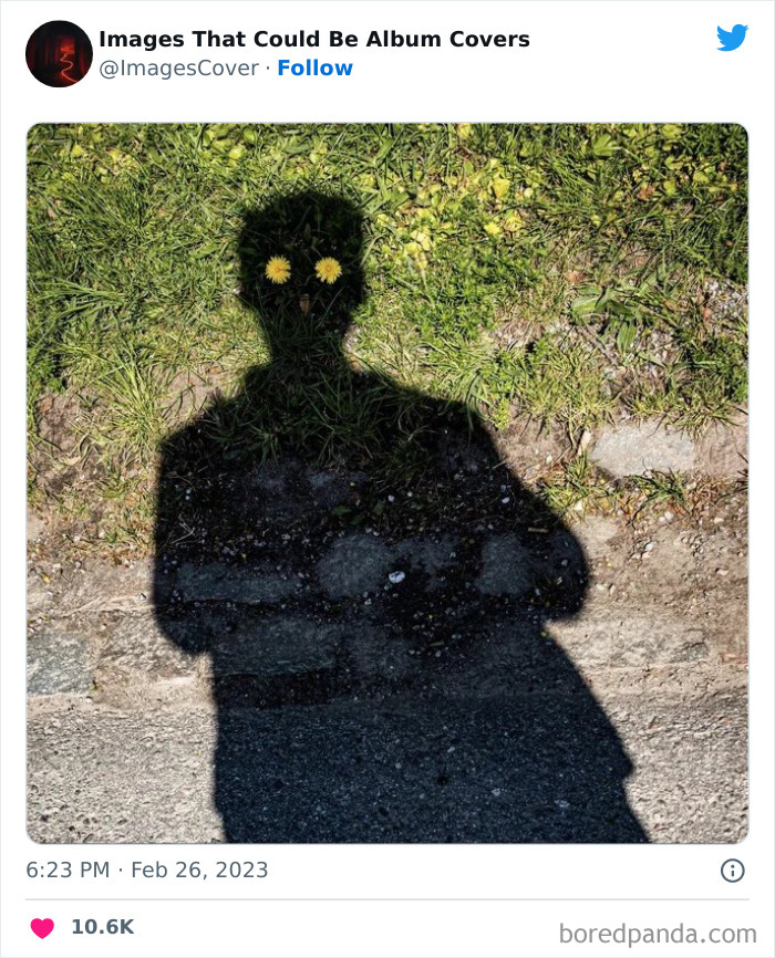 Cool-Pics-That-Could-Be-Album-Covers