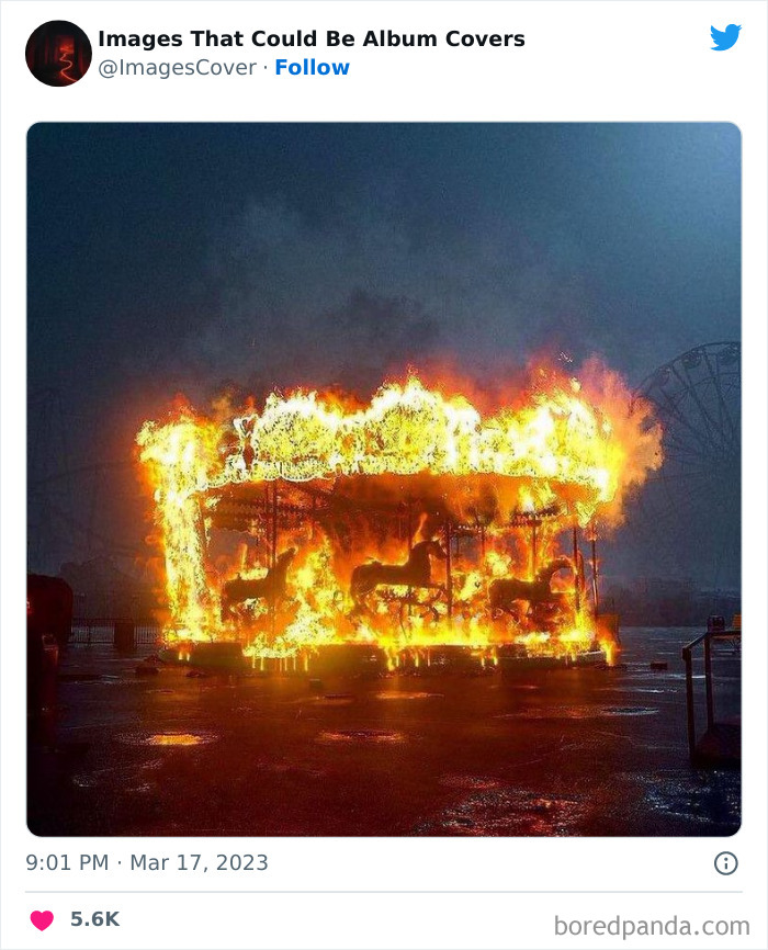 Cool-Pics-That-Could-Be-Album-Covers