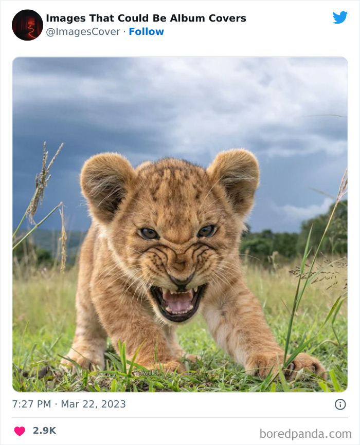 Cool-Pics-That-Could-Be-Album-Covers