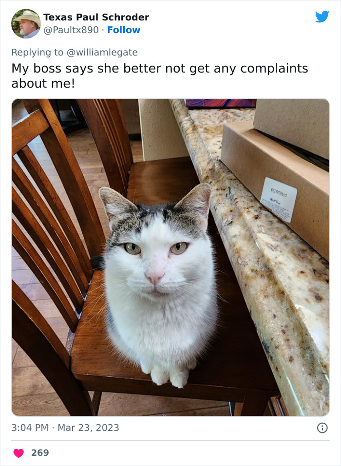 "Crazed Karen Threatens To Report Me To My Boss (Me)": Guy Shares Screenshots Of Crazed Karen, Gets Her Fired