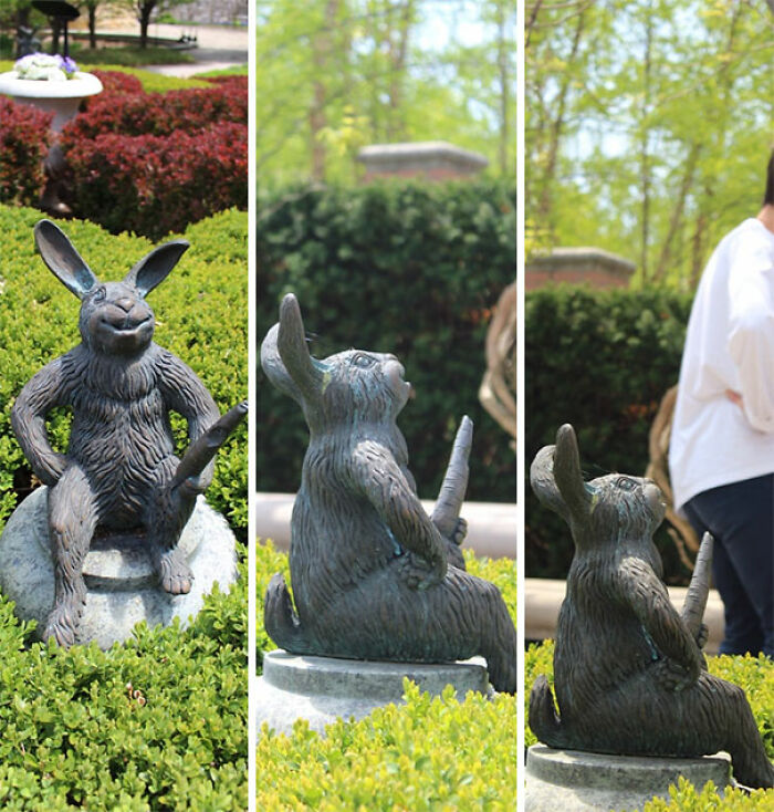 I Waited Patiently For Several Minutes For Just The Right Moment To Take The Third Photo... My Wife Wasn't Amused!