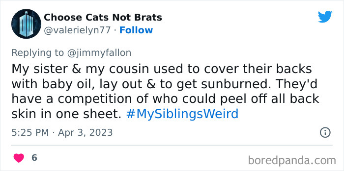 Weird-Sibling-Stories-Tweets-Jimmy-Fallon