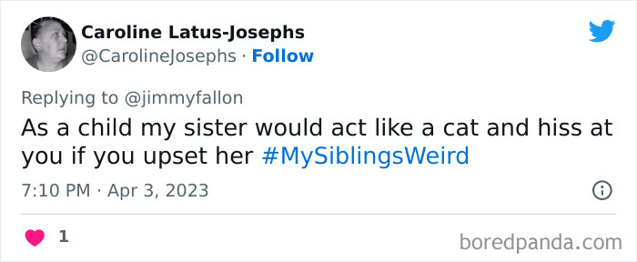 Weird-Sibling-Stories-Tweets-Jimmy-Fallon