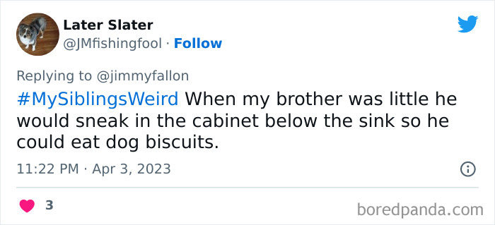 Weird-Sibling-Stories-Tweets-Jimmy-Fallon