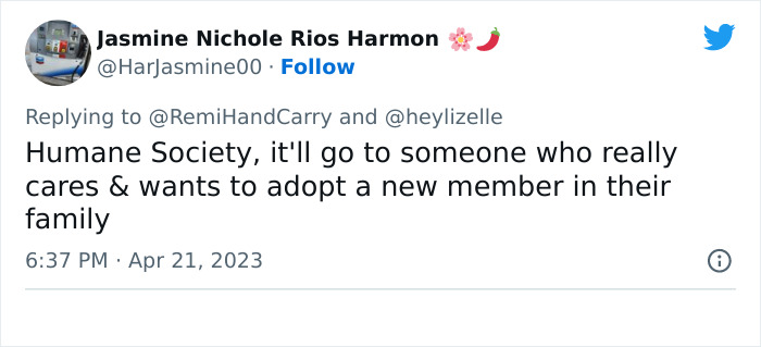 CEO Celebrates Worker Who Sold His Dog To Return To The Office, Sparks Huge Backlash Online