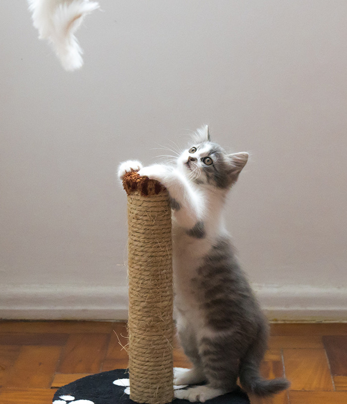 30 Pequeños detalles que hicieron sonreír a la gente