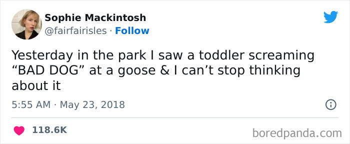 Funny-Animal-Memes-Awkwardanimals