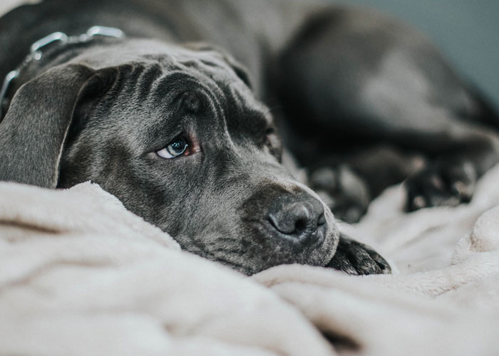 34 Subtle Red Flags That Indicate Someone Is A Bad Person