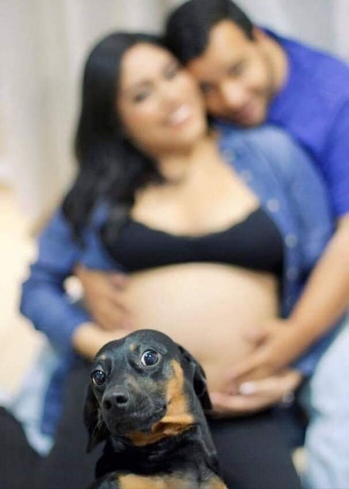 50 Times People Spotted Animals In Places They Shouldn't Be And Just Had To Document It