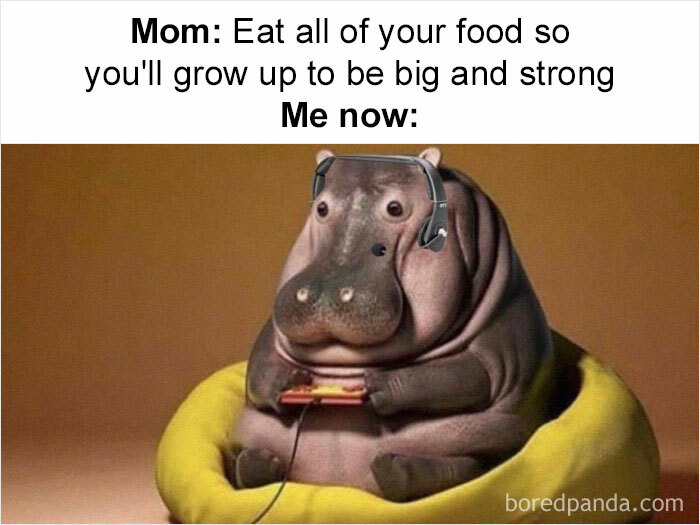 Self-Deprecating-Memes-Personally-Attacked