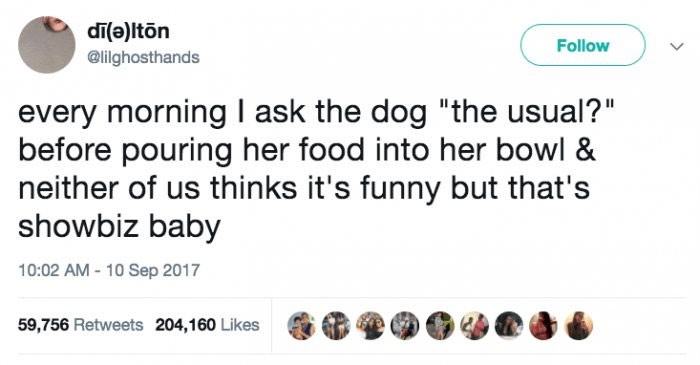 Funny-Animal-Memes-Awkwardanimals