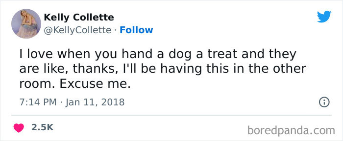 Funny-Animal-Memes-Awkwardanimals