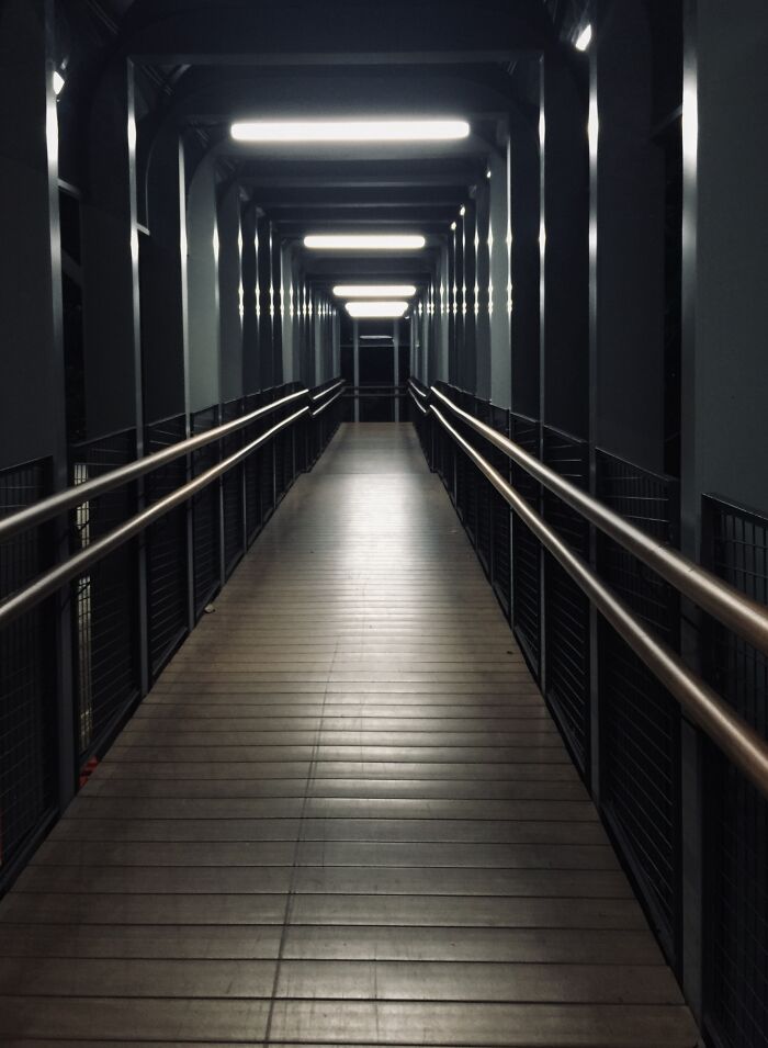 Pedestrian Overpass To My Bus Stop From Work