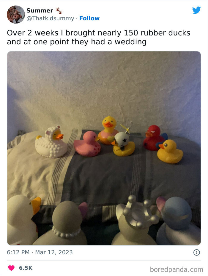 Bbc-Pandemic-Mental-Health-Crisis-Tweet-Funny-Responses