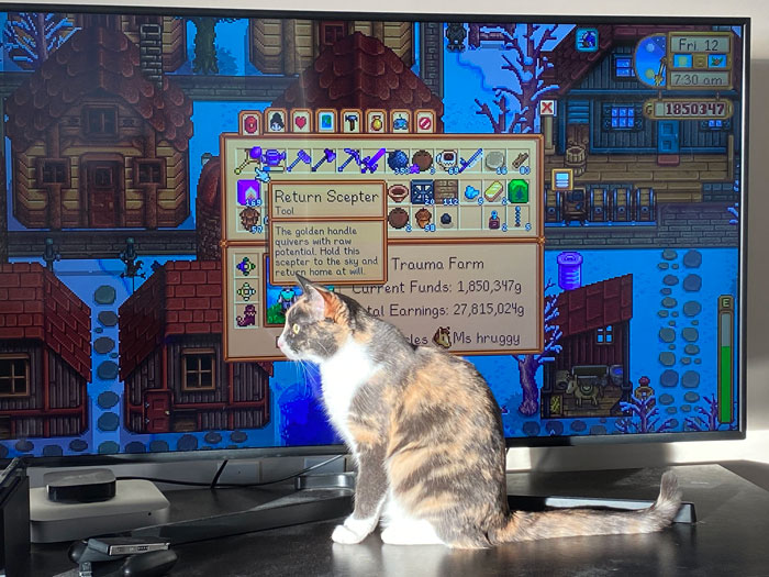 13 Y.O. Livid With His Mom For Grounding Him After He Deleted Her Games’ Progress 13 Y.O. Livid With His Mom For Grounding Him After He Deleted Her Games’ Progress