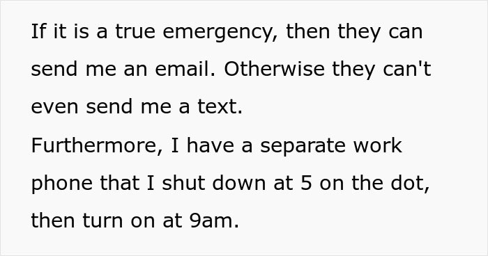 Childfree Coworker Says She Has Plans Instead Of Helping Colleague, Defends Herself Online After Colleague Catches Her Having A Solo Picnic