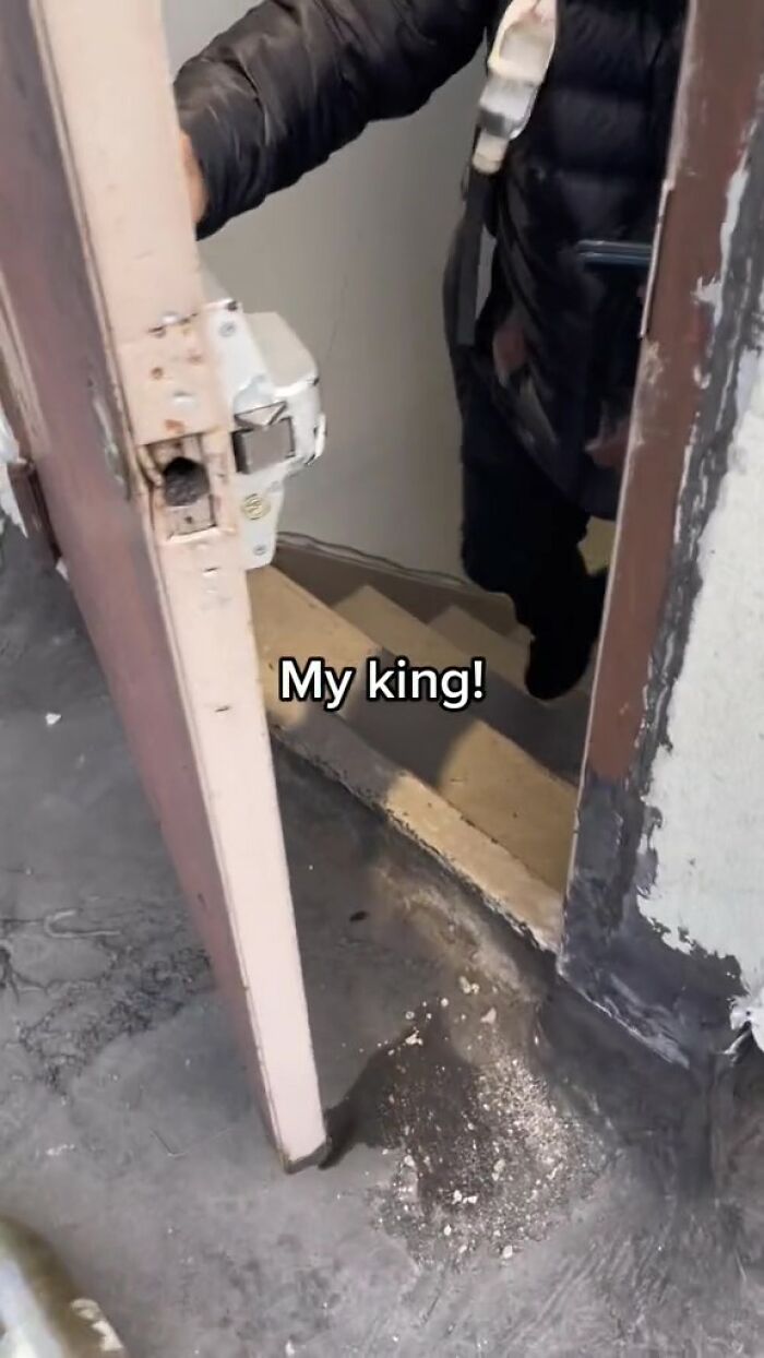 Woman Stuck On Roof Decides It&rsquo;s Faster To Call Uber Eats For Help