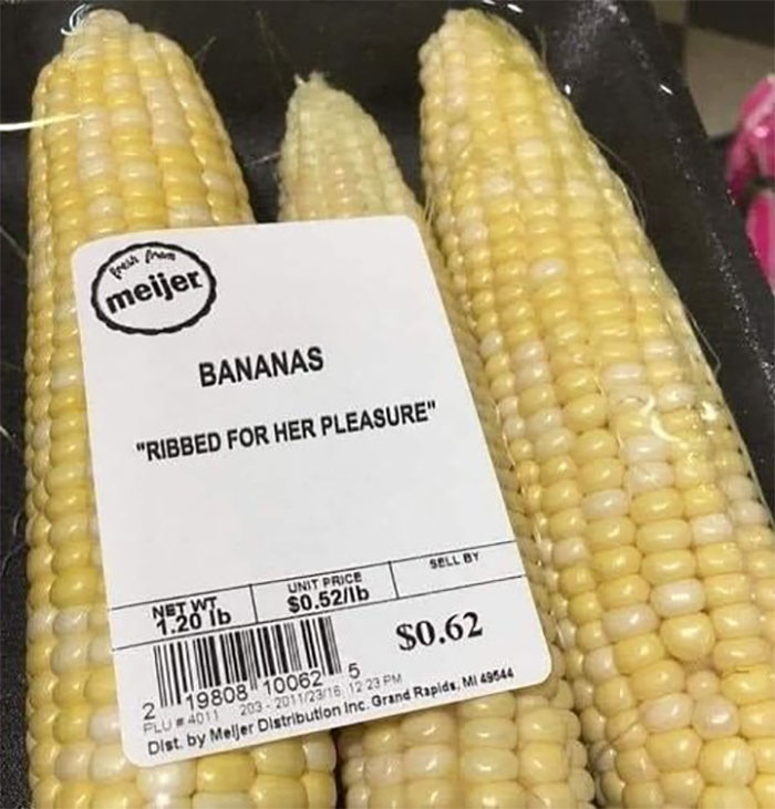 Random-Weird-Pictures-By-Things-In-Places