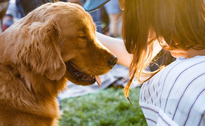 30 Pequeños detalles que hicieron sonreír a la gente