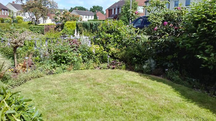 My Front Garden