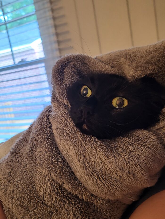 Pretend Her Eyes Are Closed Lol. 🍍