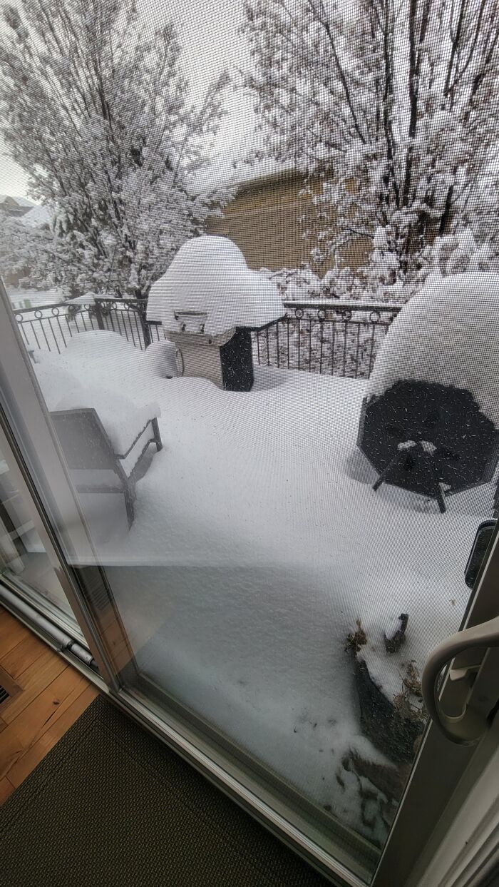 As My Husband Would Say, "That's Snow Garden!"