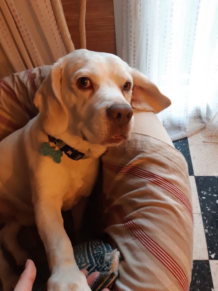 Just A Look Is Enough