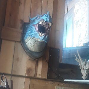 mirandavisser_2 avatar