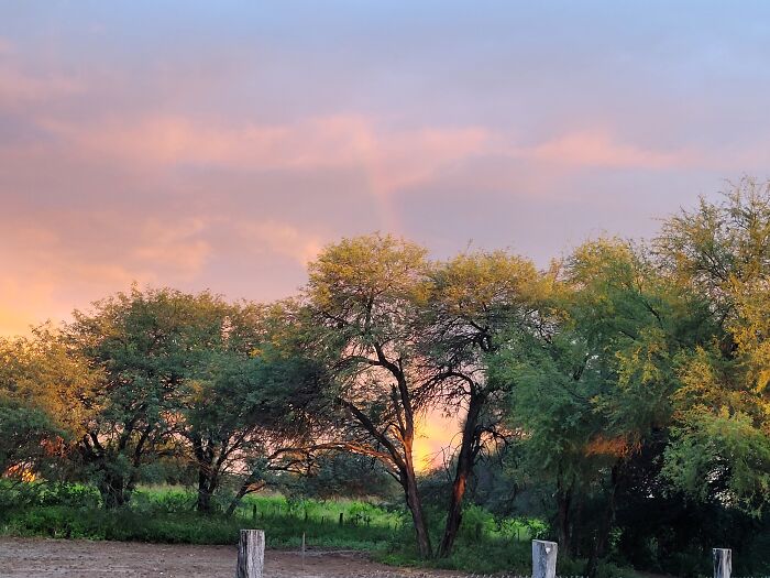 Sunset, At Home, At The End Of A Long Day. Chaco, Paraguay