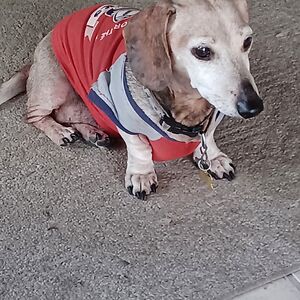 iamjustkelly2 avatar