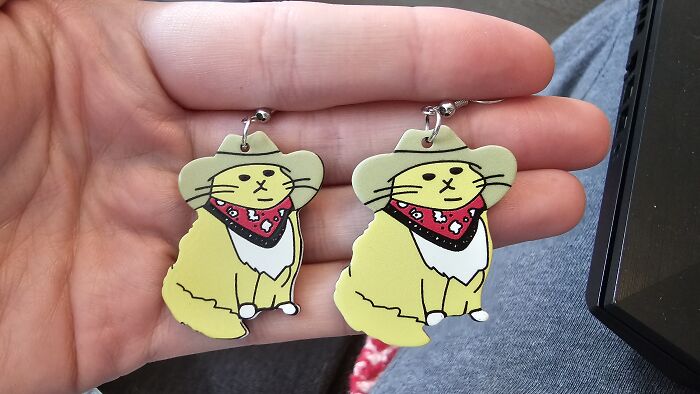 They Are Stupid Yet Cute!