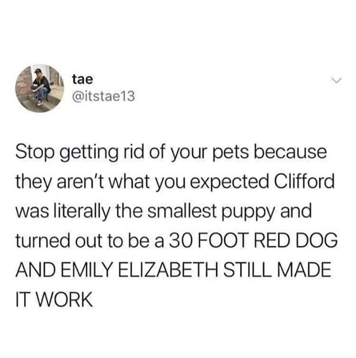 Funny-Animal-Memes-Awkwardanimals