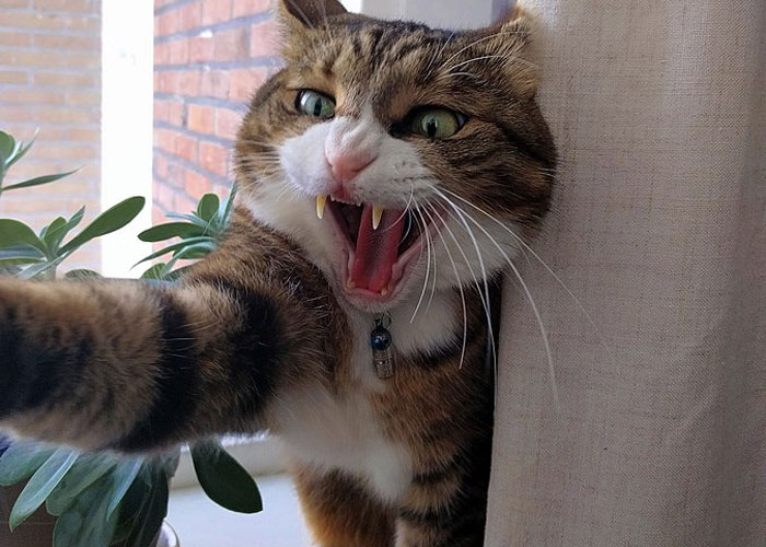 34 Subtle Red Flags That Indicate Someone Is A Bad Person