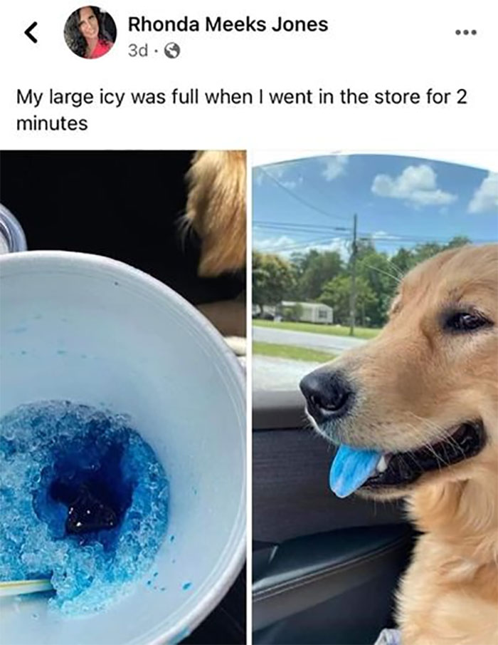 Funny-Animal-Memes-Awkwardanimals