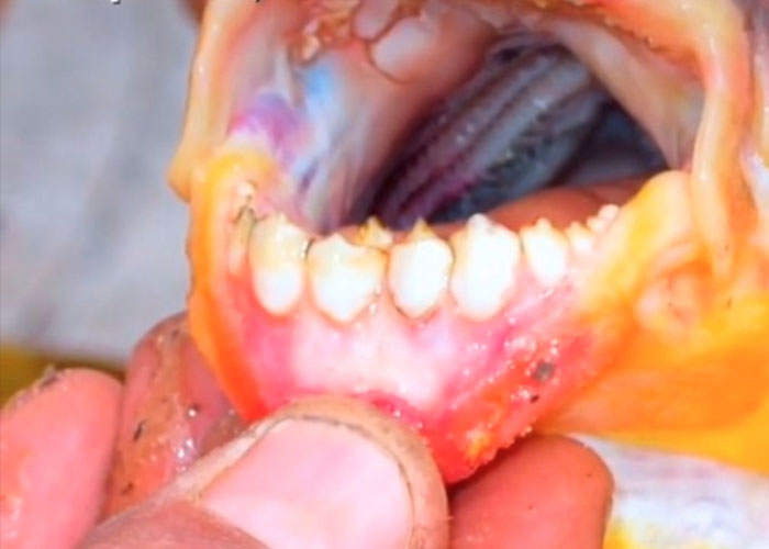 “You May Be Living In The Last Year Of Your Life”: 40 Disturbing Facts That You Might Be Better Off Not Knowing