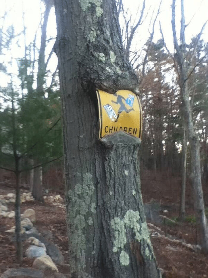 32 Of The Funniest Sign Fails You Won't Believe Actually Happened