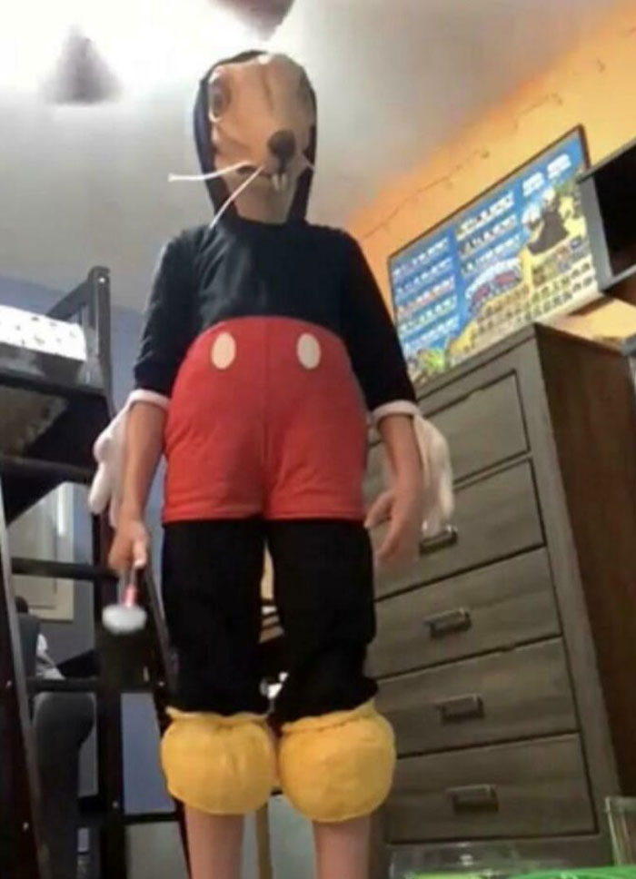 I Present To You, Mickey Mouse