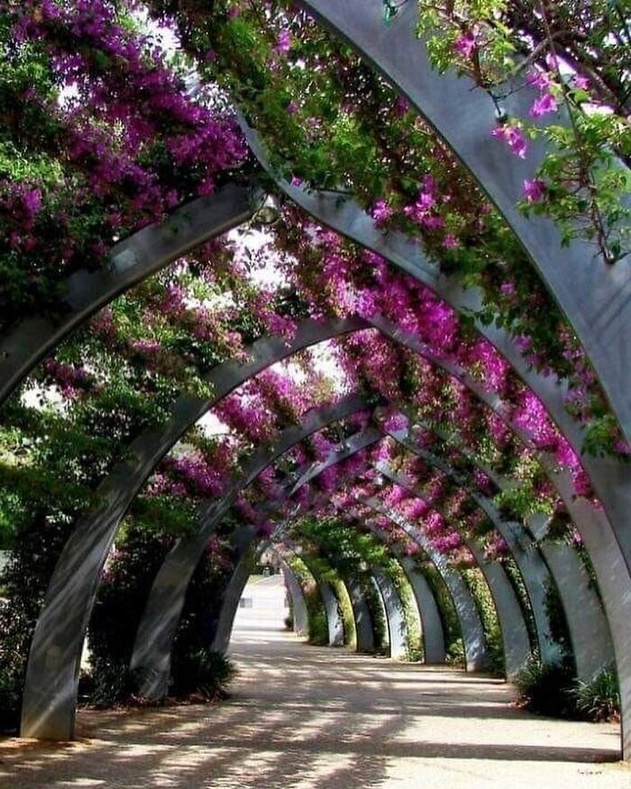 Beautiful-Landscape-Design-Pics