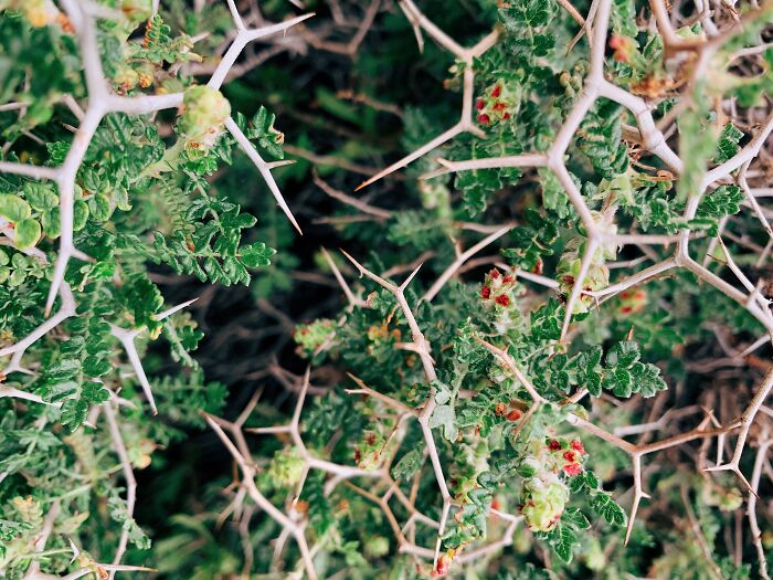 Waste Collectors Share 27 Trashy Things That People Do To Unintentionally Upset Them