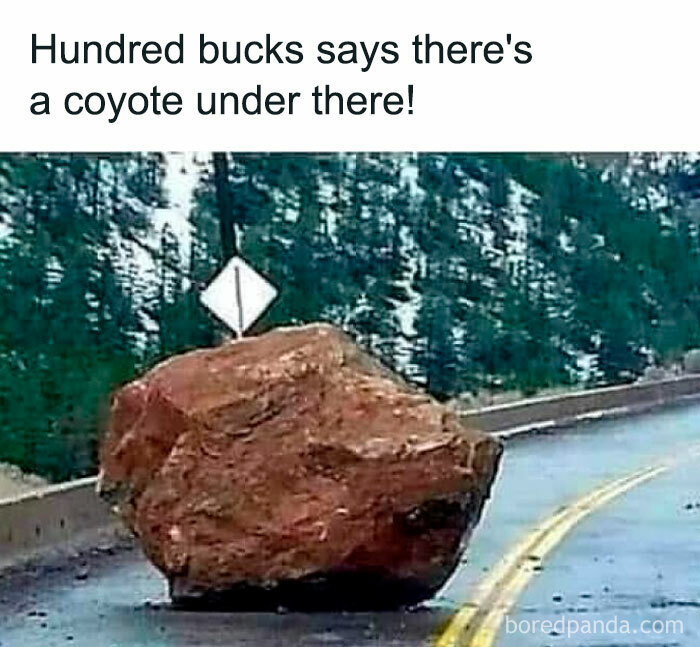 Massive boulder on a road with text referencing a coyote, capturing Gen X humor.